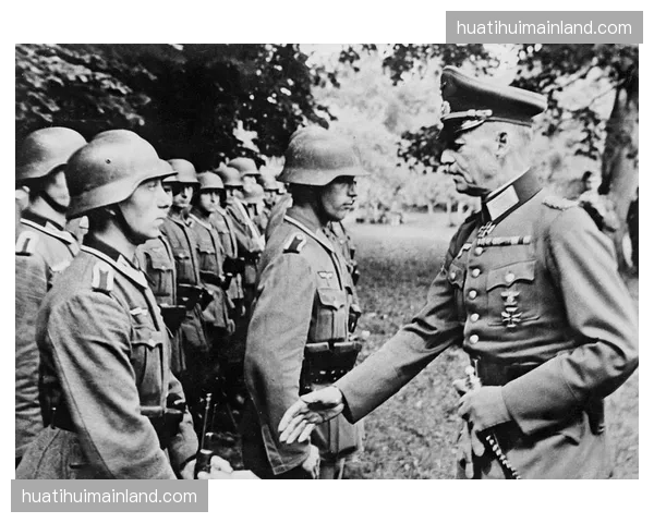 北非沙漠之狐狡猾多端，阿尔及利亚打法硬朗力争上游